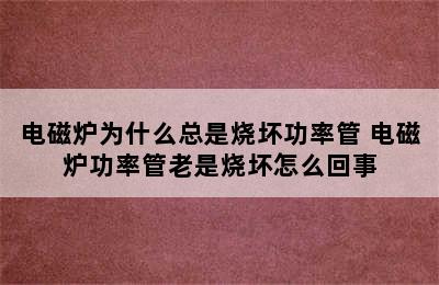 电磁炉为什么总是烧坏功率管 电磁炉功率管老是烧坏怎么回事